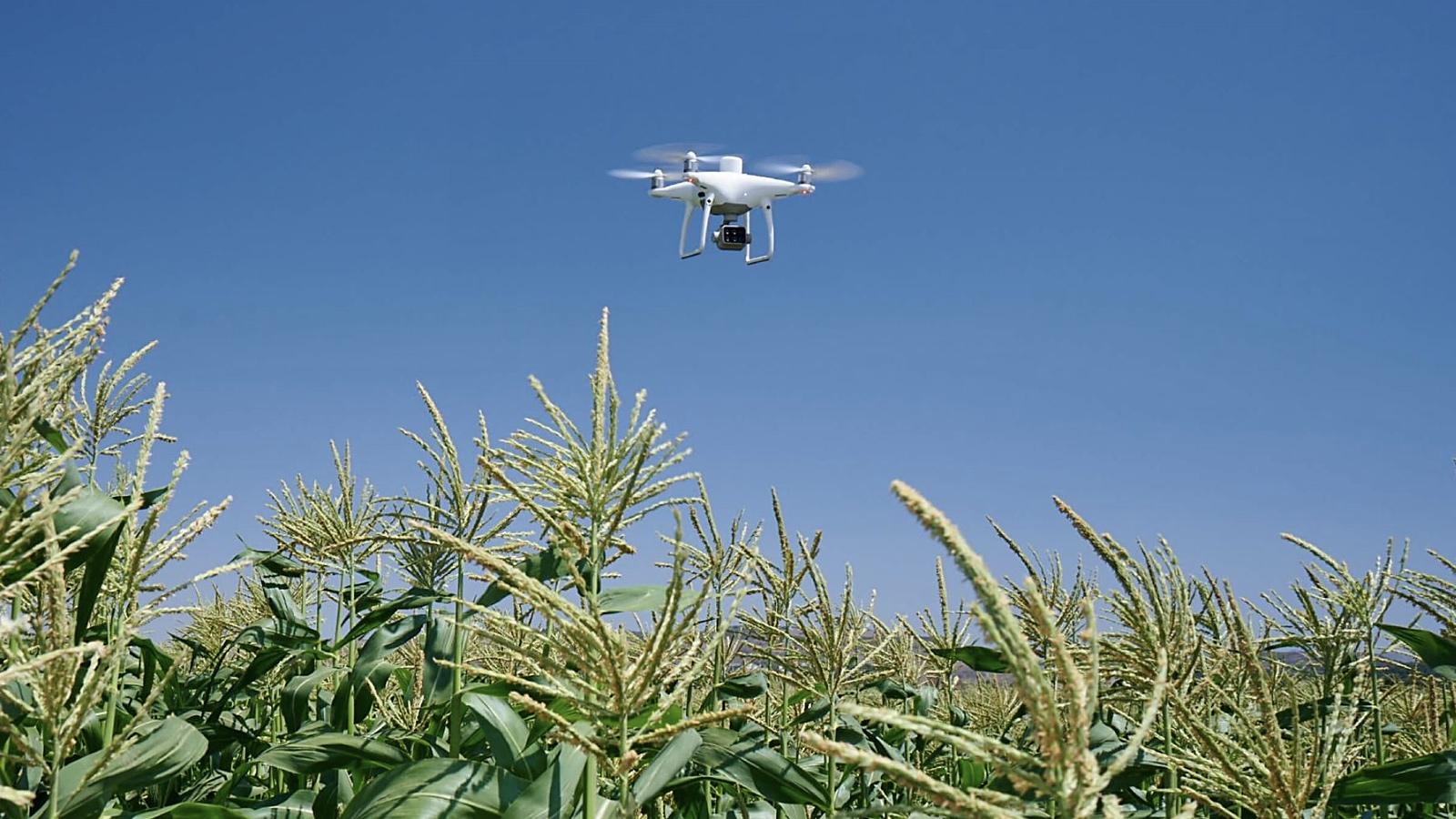 DJI Terra Agriculture – Térképezd fel a termőfölded!