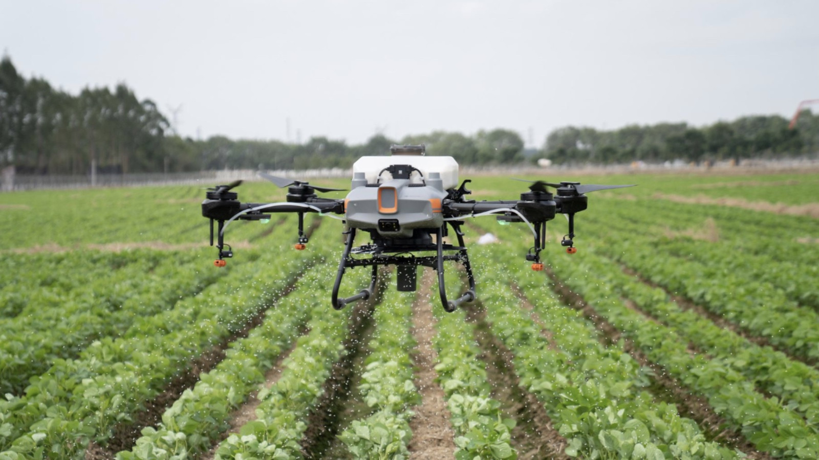 Területfelmérés, permetezés, adatgyűjtés - DroneAgro