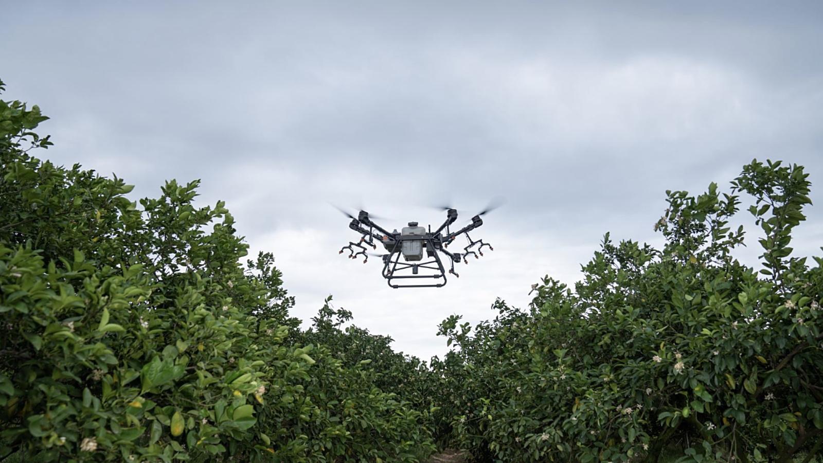 Területfelmérés, permetezés, adatgyűjtés - DroneAgro